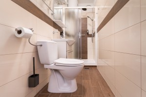 A3 WC 